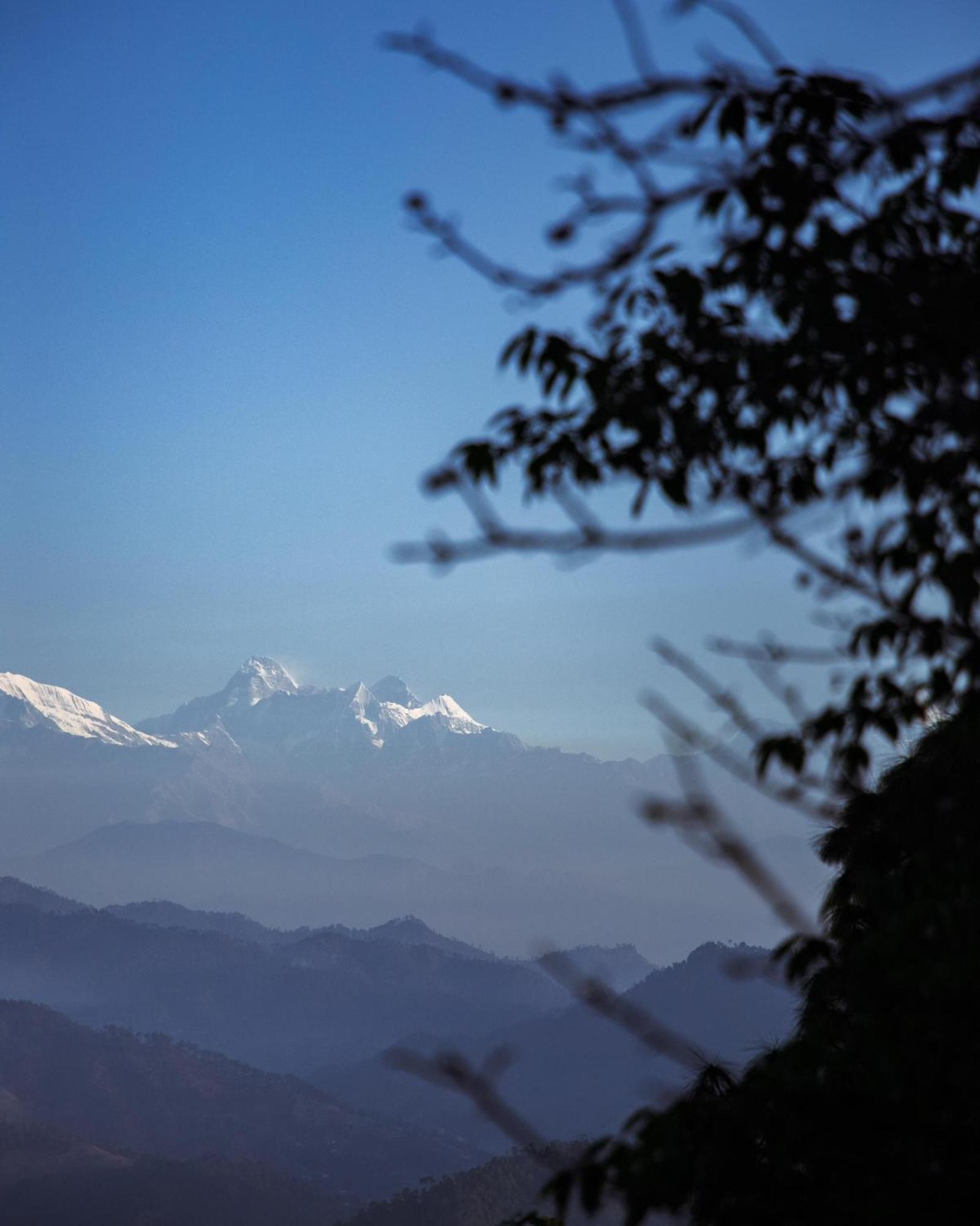 Kasar Himalaya Holiday Resort, Binsar Rd Almora Exterior foto
